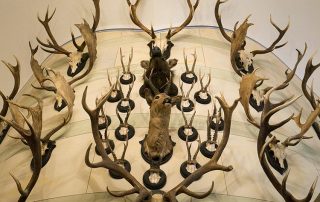 Jagdtrophaeen-Geweihe Jagdtrophaeen-Geweihe