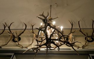 Jagdtrophaeen-Geweihe Jagdtrophaeen-Geweihe