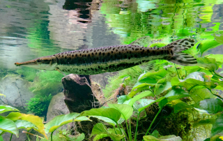 Zoologischer Tiergarten in Karlsruhe