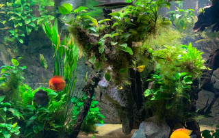 Zoologischer Tiergarten in Karlsruhe