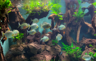 Zoologischer Tiergarten in Karlsruhe