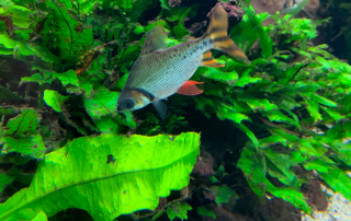 Zoologischer Tiergarten in Karlsruhe