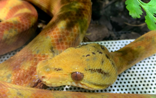 Zoologischer Tiergarten in Karlsruhe