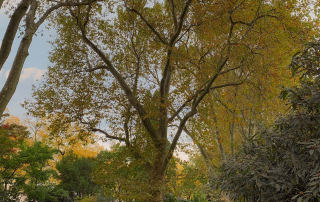 Zoologischer Tiergarten in Karlsruhe