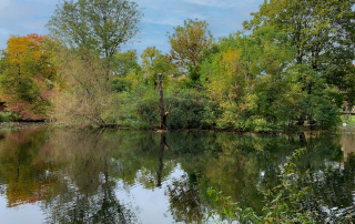 Zoologischer Tiergarten in Karlsruhe