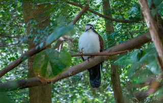 Zoologischer Tiergarten in Karlsruhe