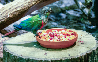 Zoologischer Tiergarten in Karlsruhe