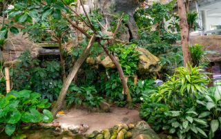 Zoologischer Tiergarten in Karlsruhe