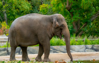 Zoologischer Tiergarten in Karlsruhe