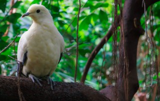 , Zoo Berlin