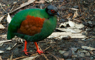 , Zoo Berlin