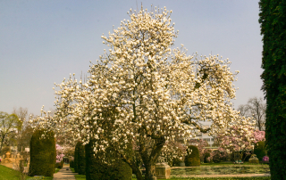 Wilhelma, Stuttgart