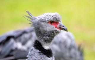 , Zoo Berlin