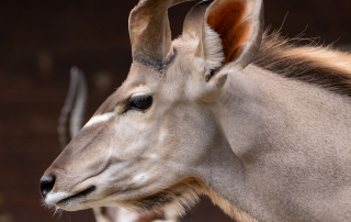 , Zoo Berlin
