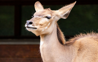 , Zoo Berlin