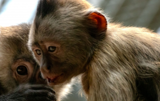 , Zoo Berlin