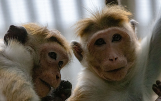 , Zoo Berlin