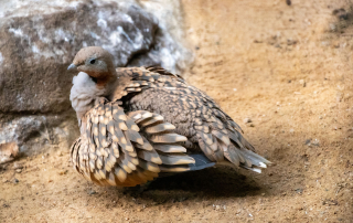 , Zoo Berlin