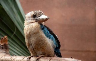 , Zoo Berlin