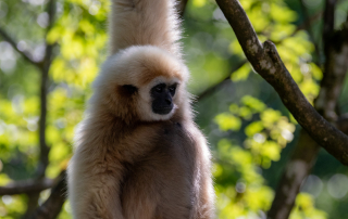 Zoo Salzburg