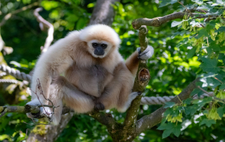 Zoo Salzburg