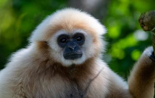 Zoo Salzburg