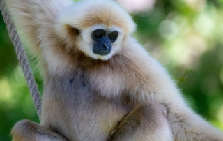 Zoo Salzburg