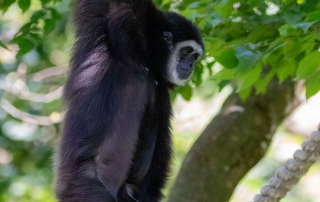 Zoo Salzburg