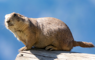Zoo Salzburg