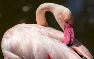 Zoo Salzburg