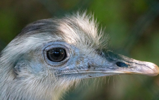 Zoo Salzburg