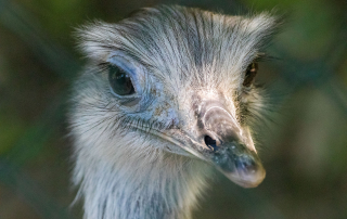 Zoo Salzburg
