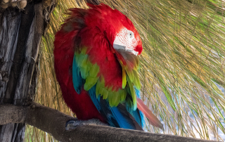Zoo Salzburg