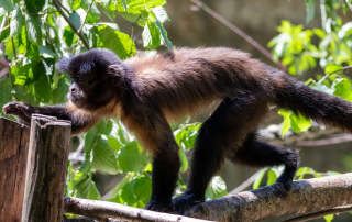 Zoo Salzburg
