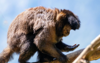 Zoo Salzburg