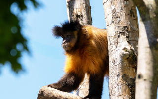 Zoo Salzburg