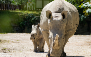 Zoo Salzburg