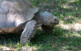 Zoo Salzburg