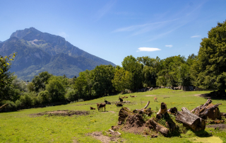Zoo Salzburg