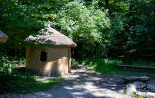 Zoo Salzburg