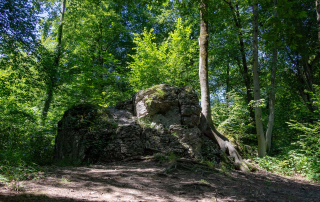 Zoo Salzburg