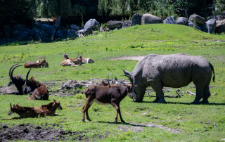 Zoo Salzburg