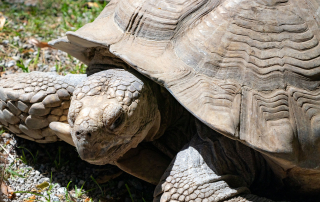 Zoo Salzburg
