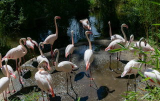 Zoo Salzburg