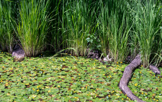 Zoo Salzburg