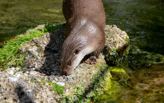 Zoo Salzburg