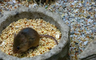 Zoo Salzburg