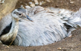 , Zoo Augsburg