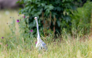 , Zoo Augsburg