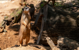 , Zoo Augsburg